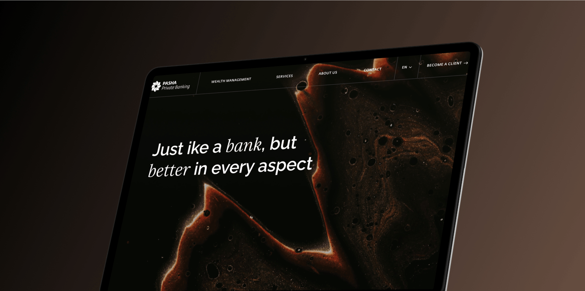 Hero image for Pasha Private website